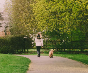 IMGW ujawnia prognozę na kwiecień. Czy czeka nas zaskoczenie?