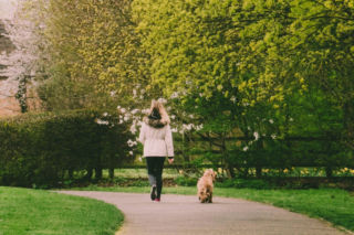 IMGW ujawnia prognozę na kwiecień 2026. Czy czeka nas zaskoczenie?