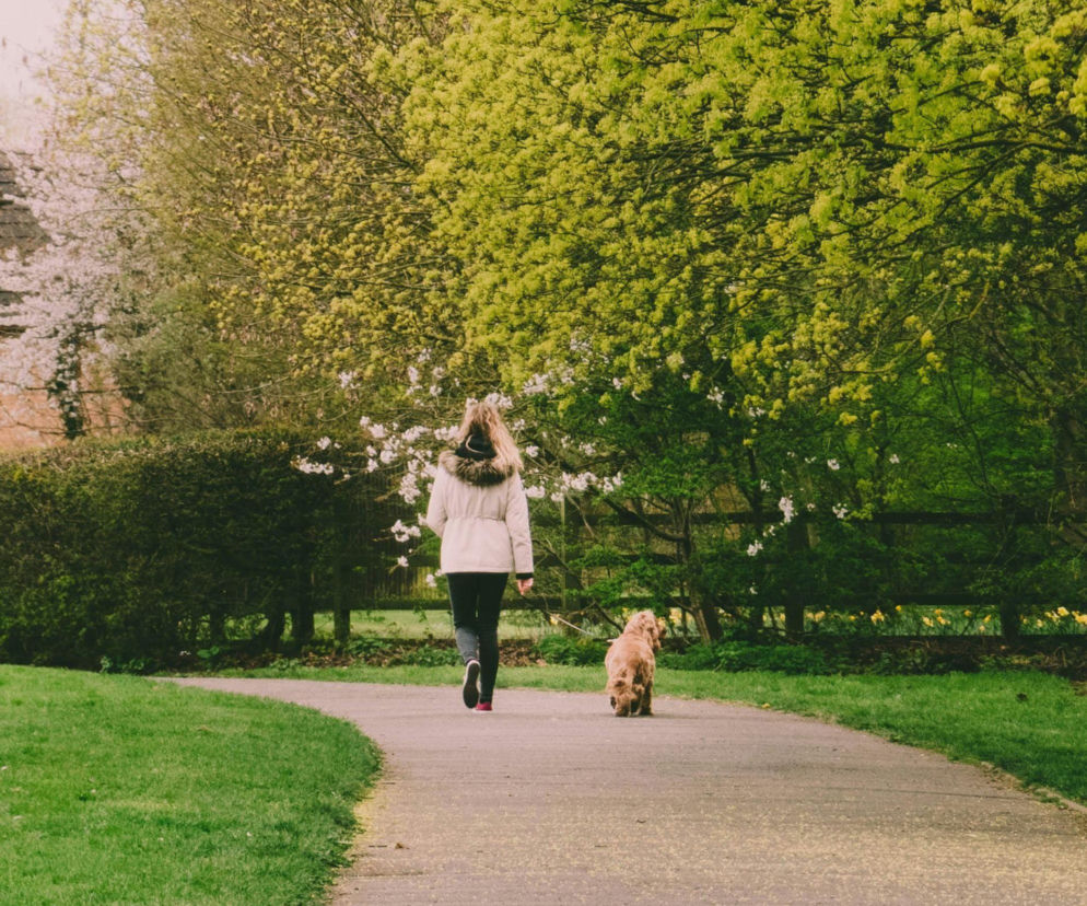 IMGW ujawnia prognozę na kwiecień 2026. Czy czeka nas zaskoczenie?