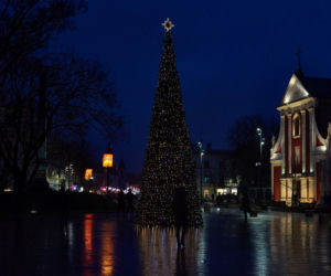 Lublin: Świąteczne iluminacje już działają! Podobają się Wam? [GALERIA]