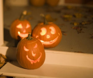 Halloween dynie