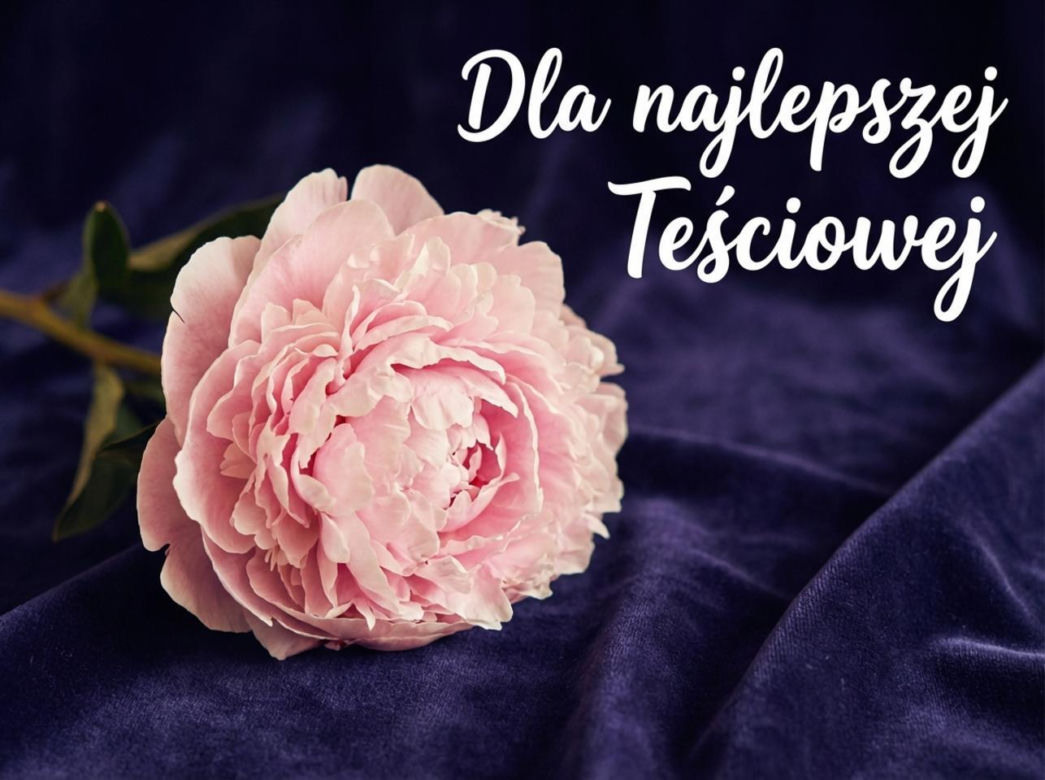Kartka na Dzień Teściowej