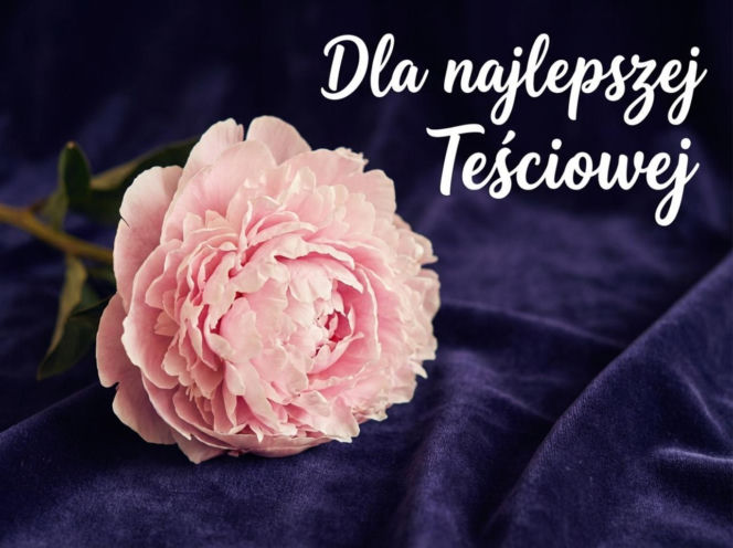 Kartka na Dzień Teściowej