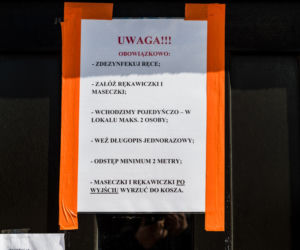 Wybory w czasie pandemii koronawirusa