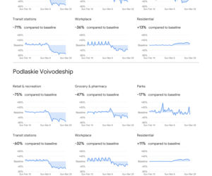 Koronawirus. Jak Polska i Polacy radzą sobie z epidemią? Wielki raport COVID-19!