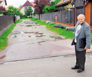 Burmistrz chce nam wykarczować park