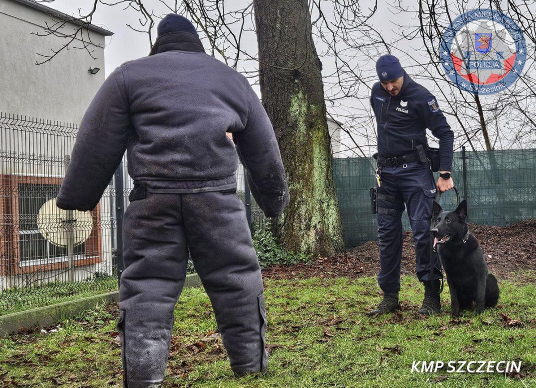 Nowe psy w zachodniopomorskiej policji
