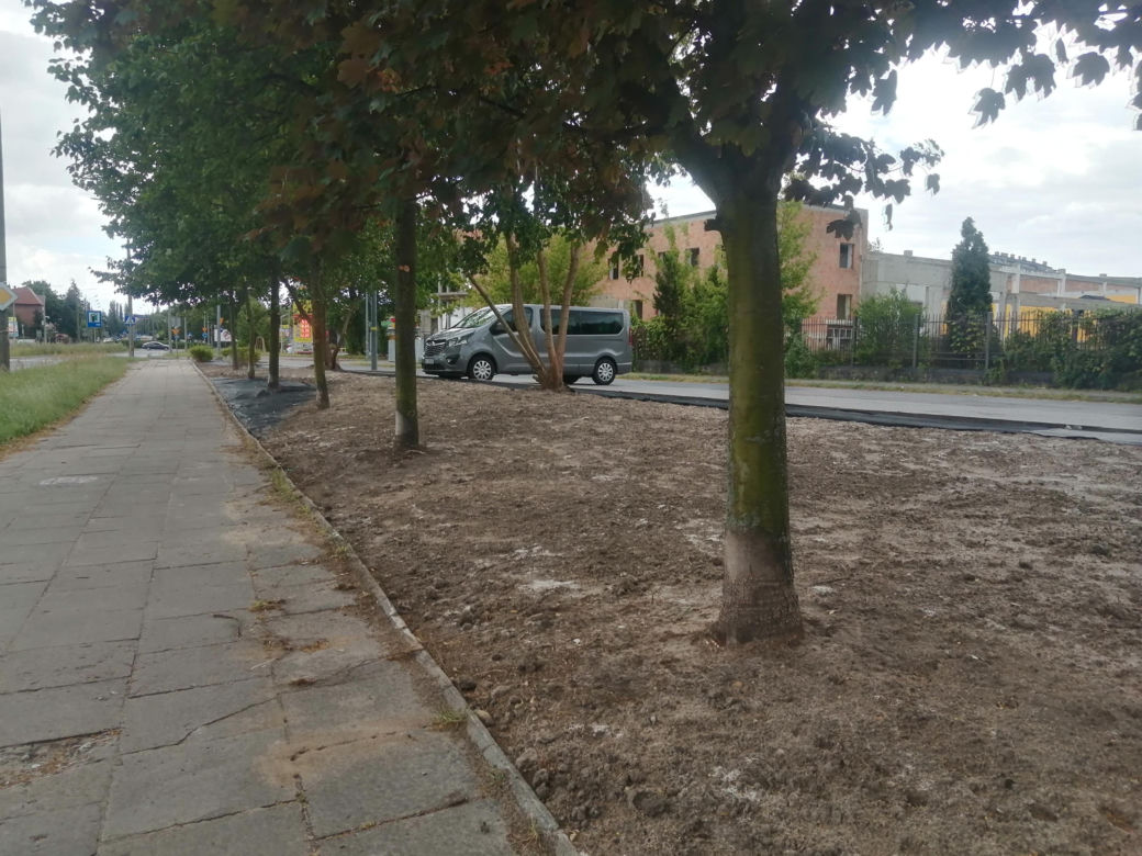 Park kieszonkowy w Siedlcach