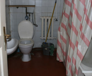 Zdjęcie 6454