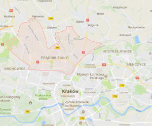 Prądnik Biały