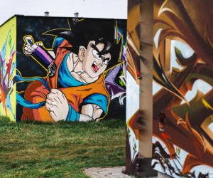 Przy ul. Mieszka I w Siedlcach można podziwiać całą galerię murali i graffiti