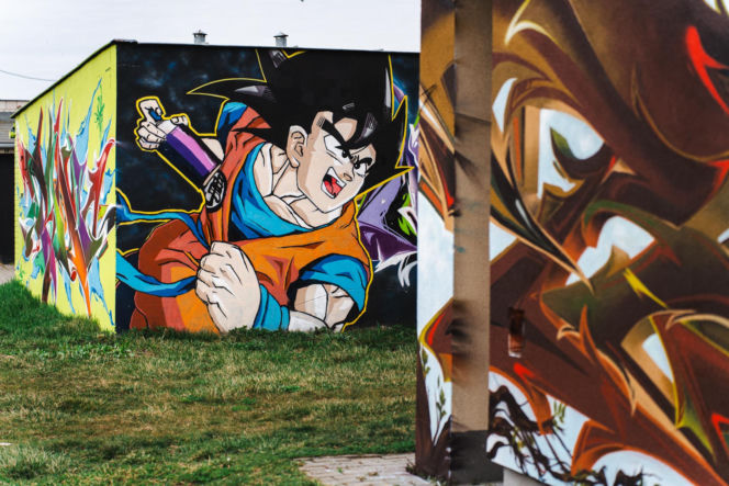 Przy ul. Mieszka I w Siedlcach można podziwiać całą galerię murali i graffiti