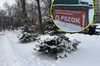 Choinka po świętach nie musi trafić na śmietnik. Lublin daje drzewkom drugie życie