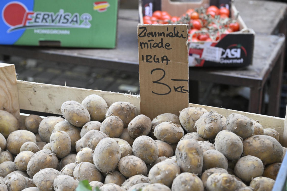  Ceny nowalijek na warszawskich bazarach szokują. Byliśmy i sprawdziliśmy ile trzeba zapłacić