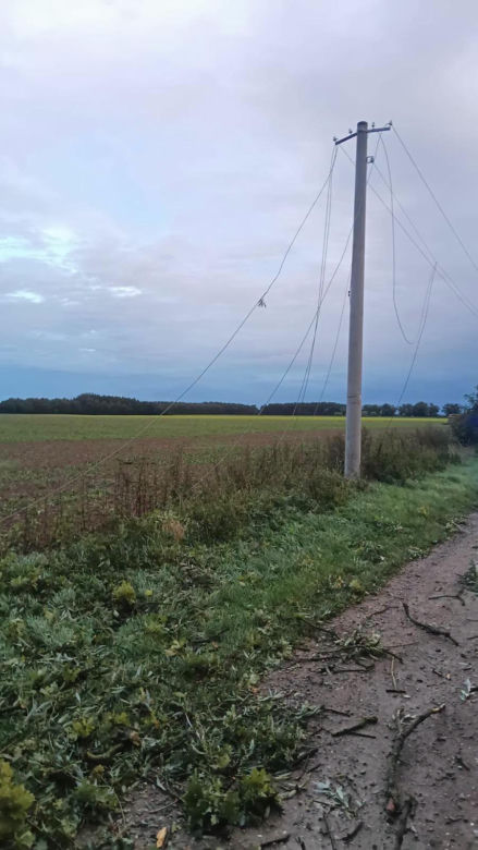 Potężna wichura w Wielkopolsce! Zerwane dachy, powalone drzewa i ogromne zniszczenia