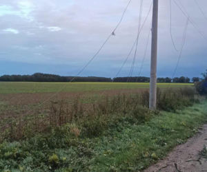 Potężna wichura w Wielkopolsce! Zerwane dachy, powalone drzewa i ogromne zniszczenia