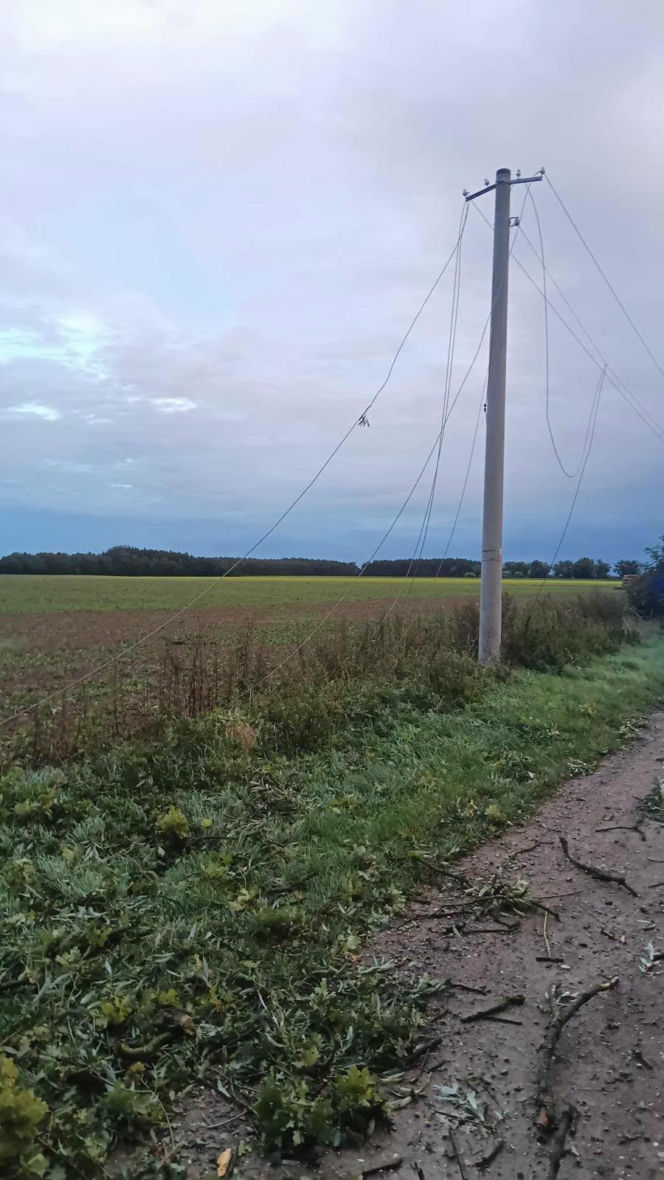 Potężna wichura w Wielkopolsce! Zerwane dachy, powalone drzewa i ogromne zniszczenia