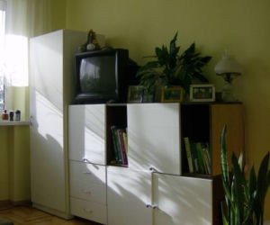 Zdjęcie 2499