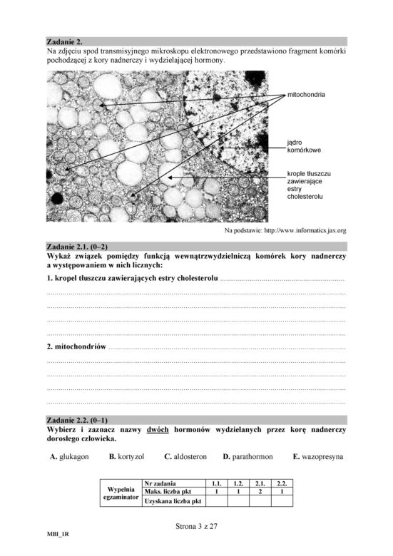 Matura 2018 z biologii. Poziom rozszerzony - arkusze CKE