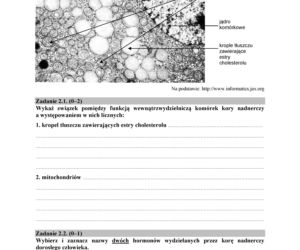 Matura 2018 z biologii. Poziom rozszerzony - arkusze CKE