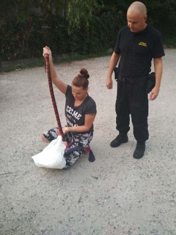 Człowiek guma, półnaga kobieta, wędkarz naturysta -czyli nietypowe interwencje Starży Miejskiej Starachowice