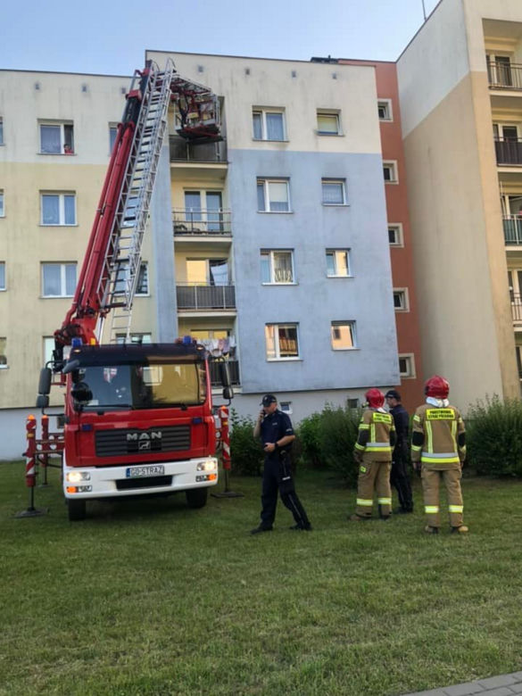 Pies konał w upale na balkonie. Dwa dni bez wody i jedzenia. Koszmar w Bytowie