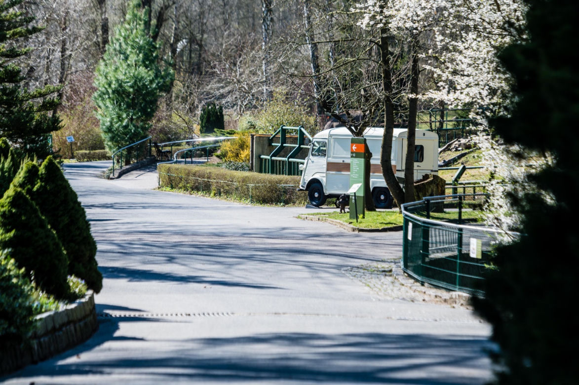 Koronawirus w Trójmieście. ZOO zamknięte na czas kwarantanny