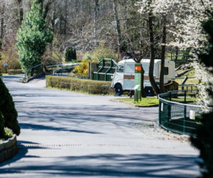 Koronawirus w Trójmieście. ZOO zamknięte na czas kwarantanny