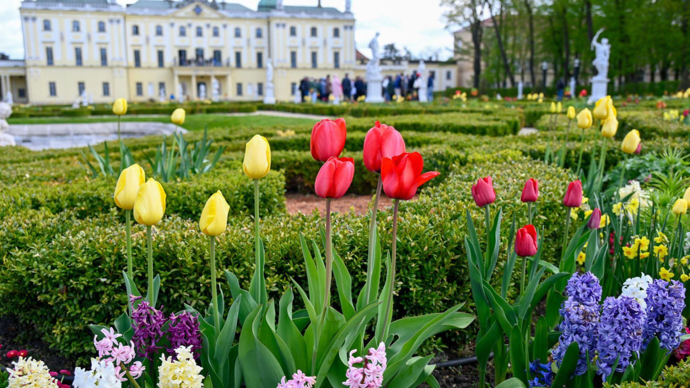 Park Branickich w Białymstoku