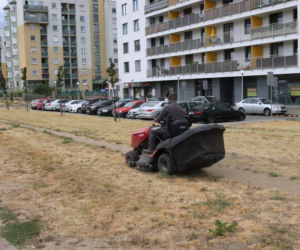 Koszą pustynię na Białołęce