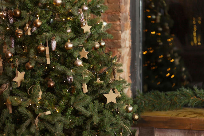 Świąteczne choinki w stylu rustykalnym