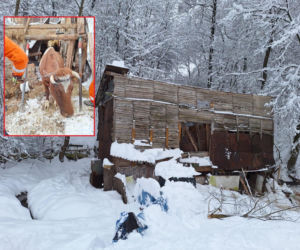 Dach stodoły runął pod naporem śniegu. W środku były zwierzęta