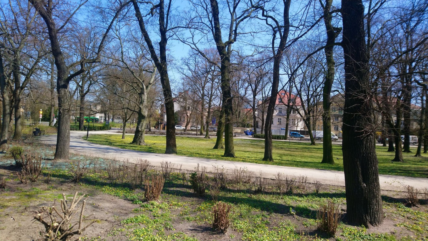 Czy poznaniacy stosują się do zakazów? Zaskakujące dane Straży Miejskiej! [ZDJĘCIA]