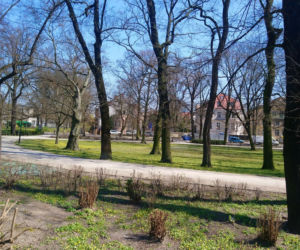 Czy poznaniacy stosują się do zakazów? Zaskakujące dane Straży Miejskiej! [ZDJĘCIA]
