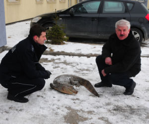 Ktoś udusił krokodyla