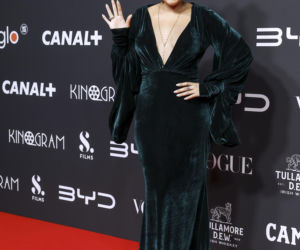 Gwiazdy podczas nocy oscarowej z Canal+