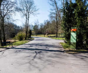 Koronawirus w Trójmieście. ZOO zamknięte na czas kwarantanny