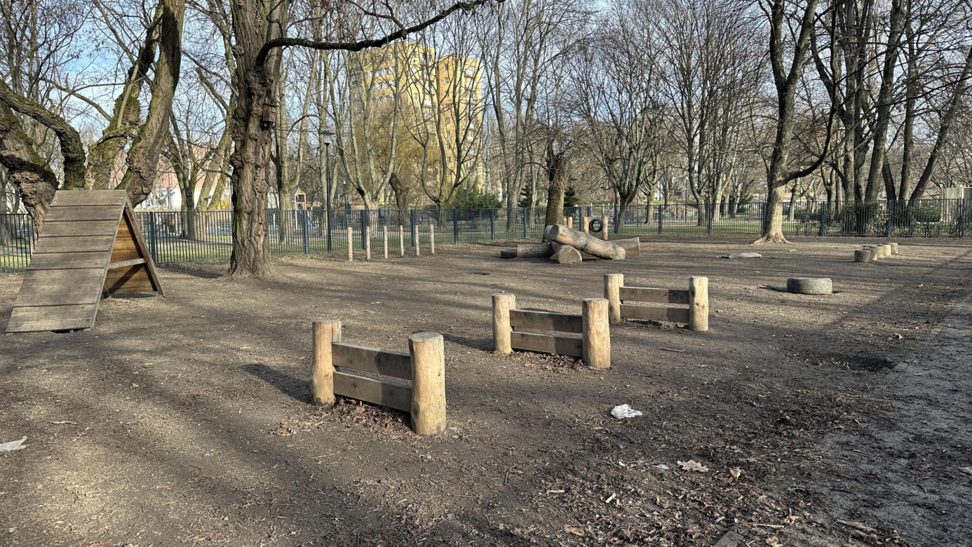 Psi park w Parku Staromiejskim w Łodzi