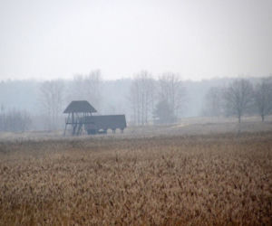 Kładka Śliwno-Waniewo. Niezwykła atrakcja pod Białymstokiem