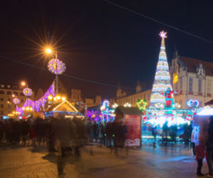 Choinka na wrocławskim rynku