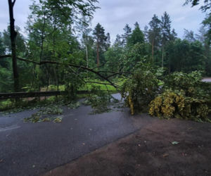 Front burzowy przeszedł przez Warmię i Mazury. Powalone drzewa, dużo strat materialnych [ZDJĘCIA]