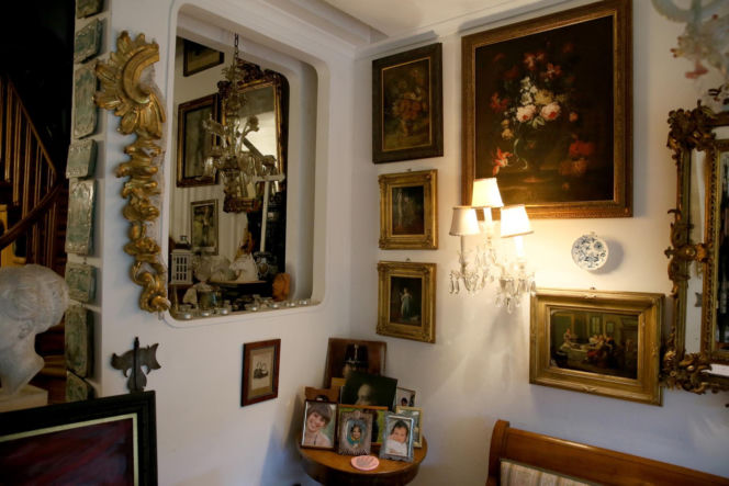 Koty Jarka nas terroryzują