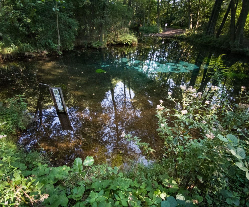 Rezerwat Niebieskie Źródła