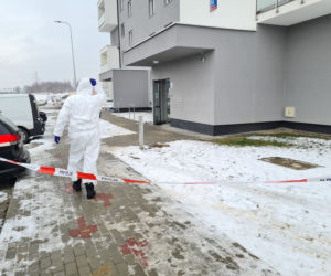 Krwawa masakra w Rzeszowie. Wołała pomocy, gdy dźgał ją nożem kuchennym. Nowe fakty [ZDJĘCIA]