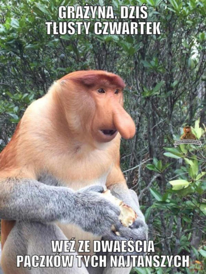 MEMY na Tłusty Czwartek 2026