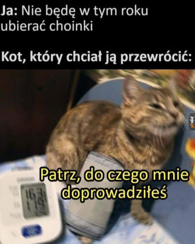 Memy o Bożym Narodzeniu. Już niebawem te obrazki staną się rzeczywistością 