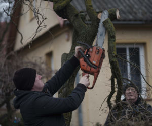 Rolnicy. Podlasie, odcinek 12 (czwarty sezon). Premiera w niedzielę 22.03.22