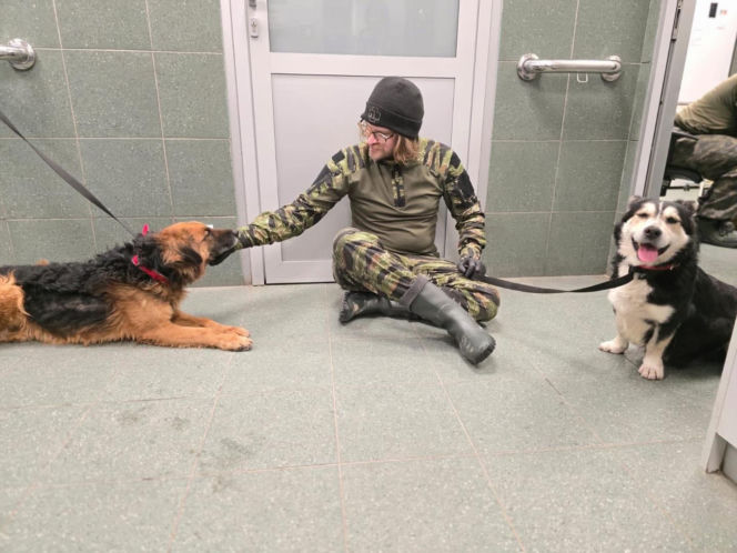 Akcja ratunkowa w likwidowanym schronisku Kocham Psisko w Mąkosach Nowych