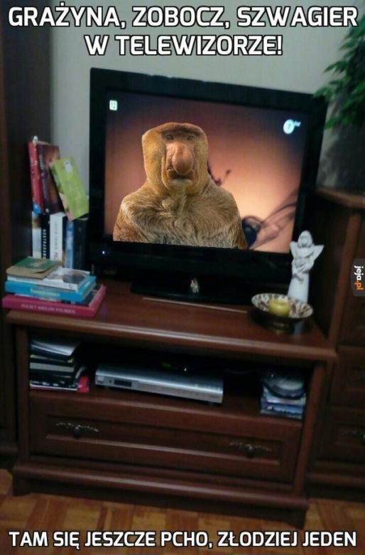 Memy na Dzień Szwagra 