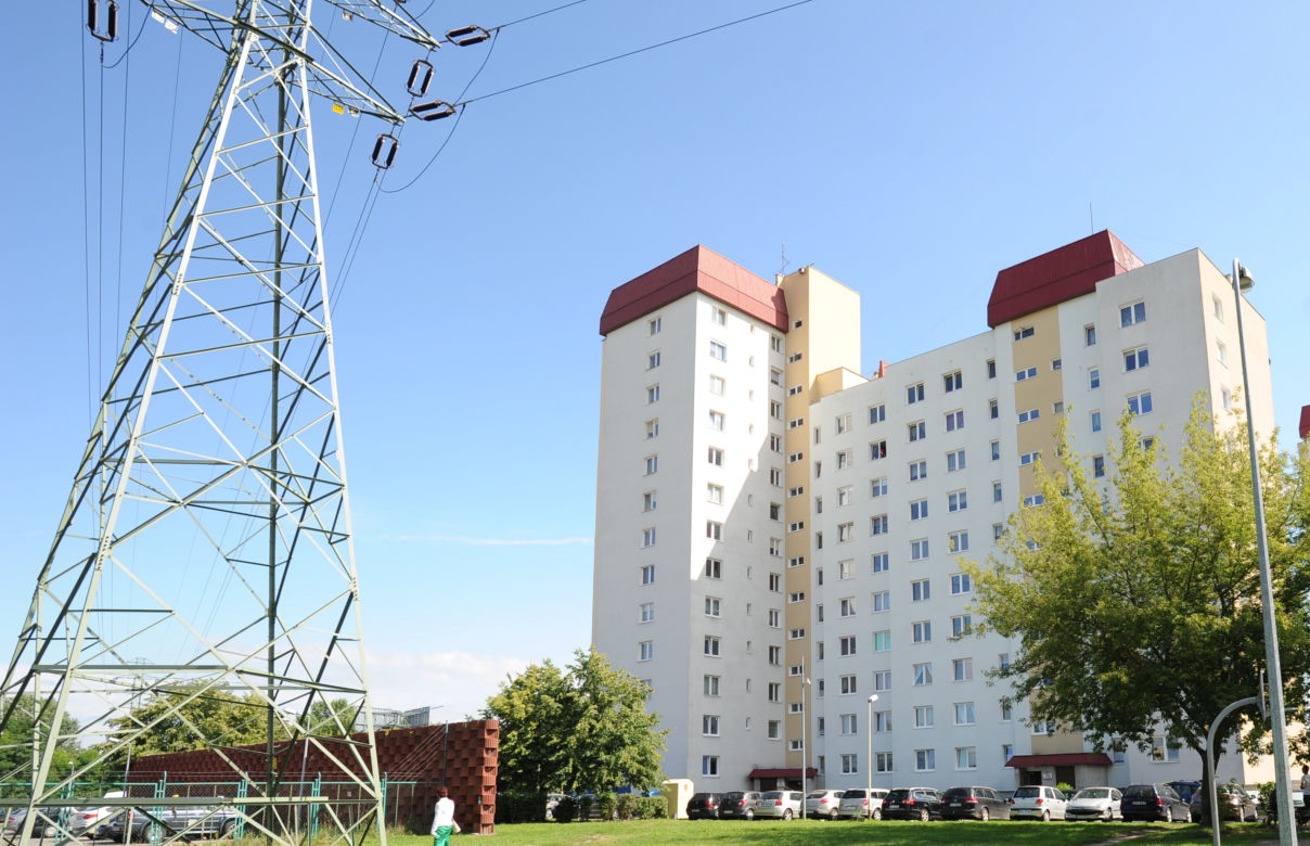 Ocaliłem karasia z powodzi